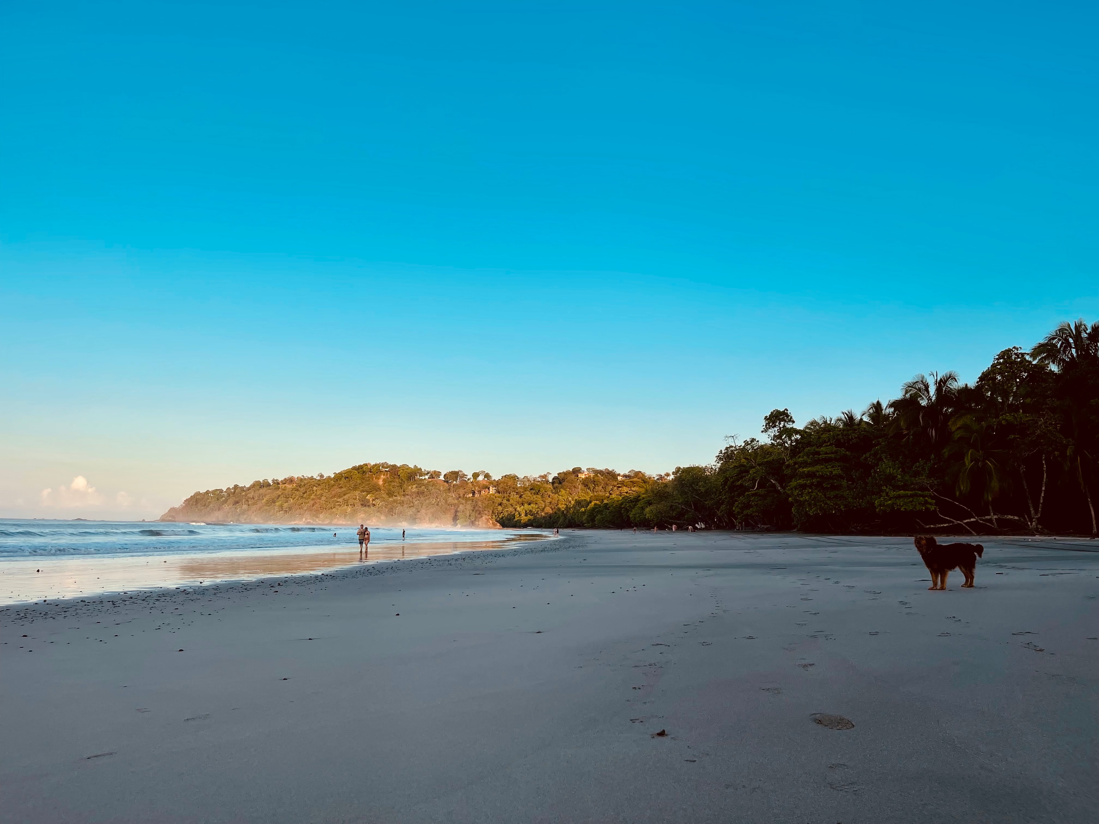 Pristine Pacific beach at Manuel Antonio, Costa Rica